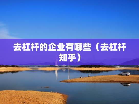 去杠杆的企业有哪些（去杠杆知乎）