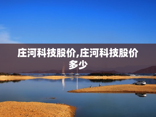 庄河科技股价,庄河科技股价多少