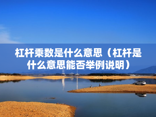 杠杆乘数是什么意思（杠杆是什么意思能否举例说明）