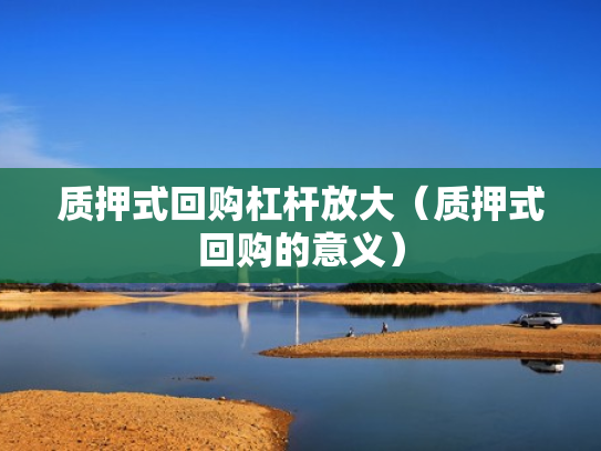 质押式回购杠杆放大（质押式回购的意义）