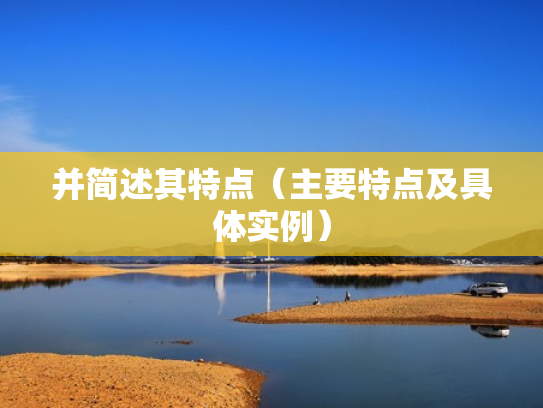 并简述其特点（主要特点及具体实例）
