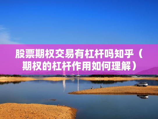 股票期权交易有杠杆吗知乎（期权的杠杆作用如何理解）