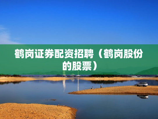 鹤岗证券配资招聘（鹤岗股份的股票）