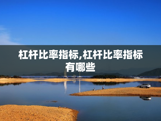杠杆比率指标,杠杆比率指标有哪些