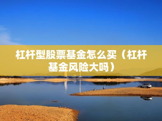 杠杆型股票基金怎么买（杠杆基金风险大吗）