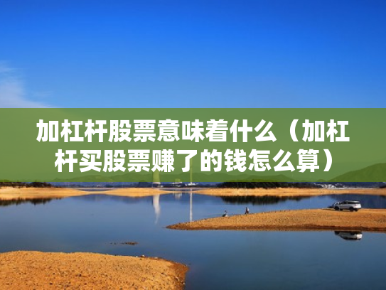 加杠杆股票意味着什么（加杠杆买股票赚了的钱怎么算）