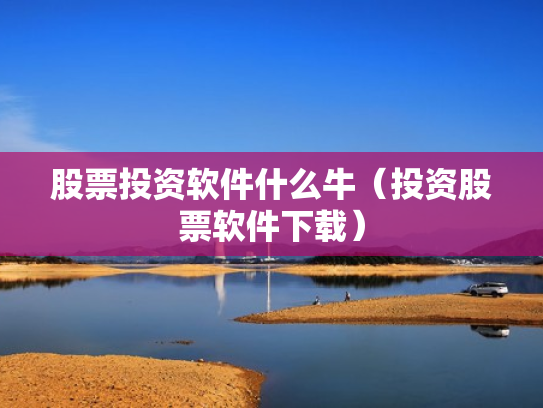 股票投资软件什么牛（投资股票软件下载）