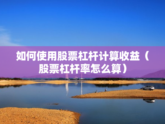 如何使用股票杠杆计算收益（股票杠杆率怎么算）