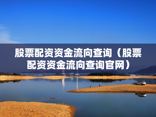股票配资资金流向查询（股票配资资金流向查询官网）