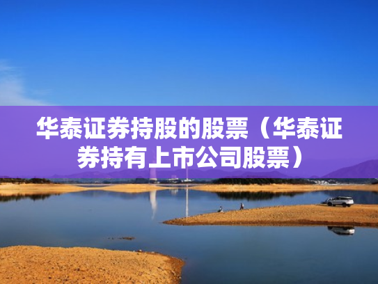 华泰证券持股的股票（华泰证券持有上市公司股票）