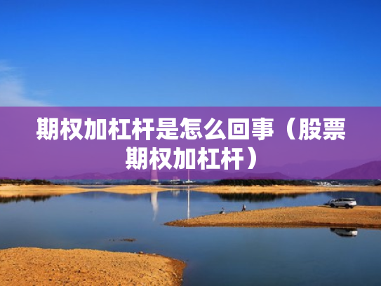 期权加杠杆是怎么回事（股票期权加杠杆）