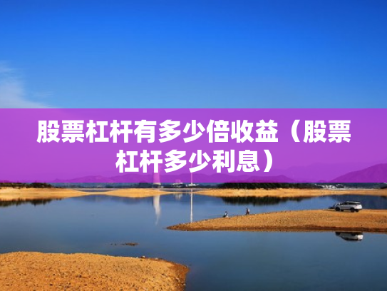 股票杠杆有多少倍收益（股票杠杆多少利息）