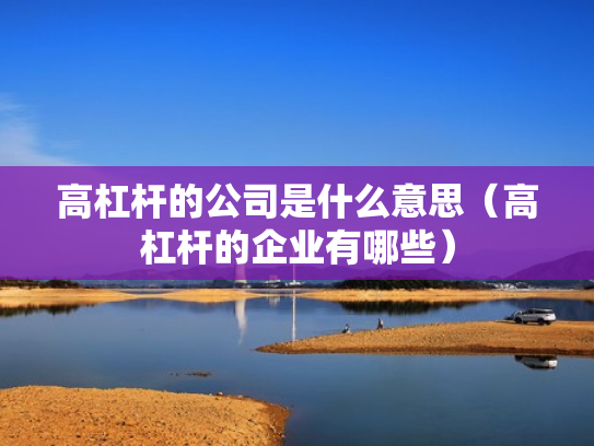 高杠杆的公司是什么意思（高杠杆的企业有哪些）