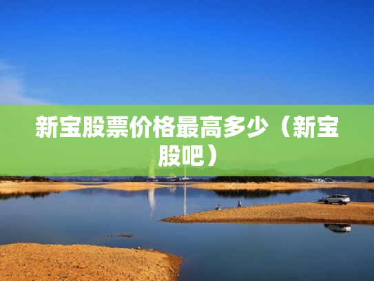 新宝股票价格最高多少（新宝股吧）