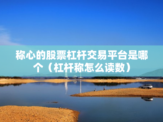 称心的股票杠杆交易平台是哪个（杠杆称怎么读数）