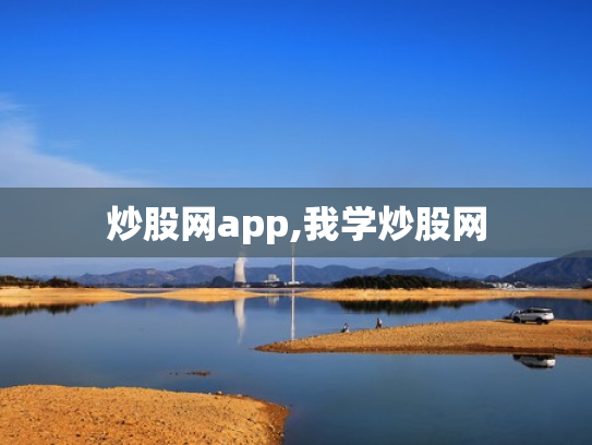炒股网app,我学炒股网