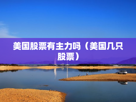 美国股票有主力吗（美国几只股票）