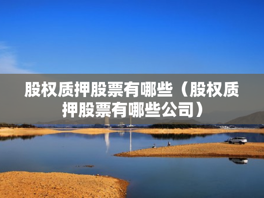 股权质押股票有哪些（股权质押股票有哪些公司）