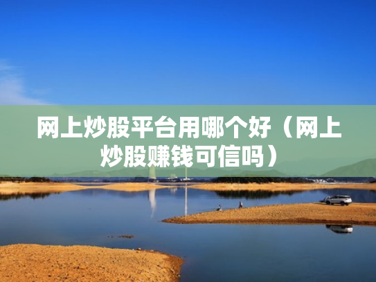 网上炒股平台用哪个好（网上炒股赚钱可信吗）