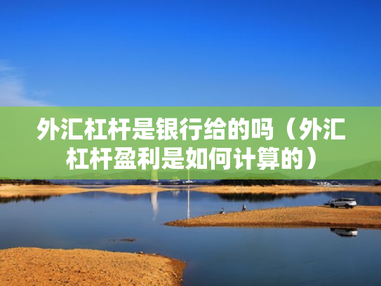 外汇杠杆是银行给的吗（外汇杠杆盈利是如何计算的）