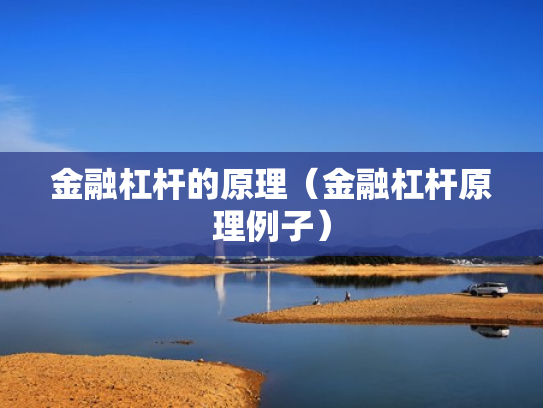 金融杠杆的原理（金融杠杆原理例子）