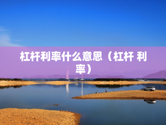杠杆利率什么意思（杠杆 利率）