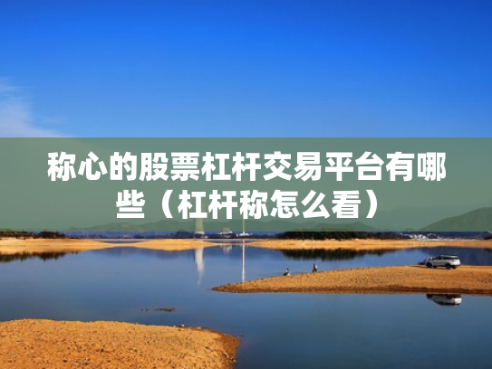 称心的股票杠杆交易平台有哪些（杠杆称怎么看）