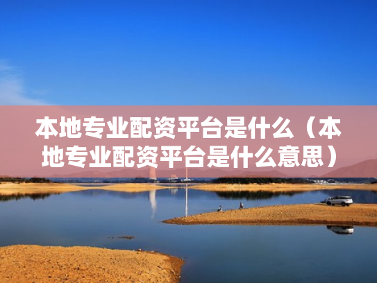本地专业配资平台是什么（本地专业配资平台是什么意思）