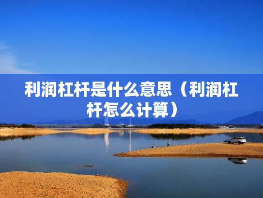利润杠杆是什么意思（利润杠杆怎么计算）