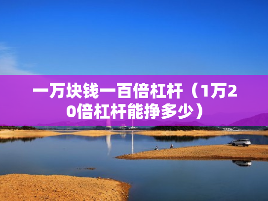 一万块钱一百倍杠杆（1万20倍杠杆能挣多少）