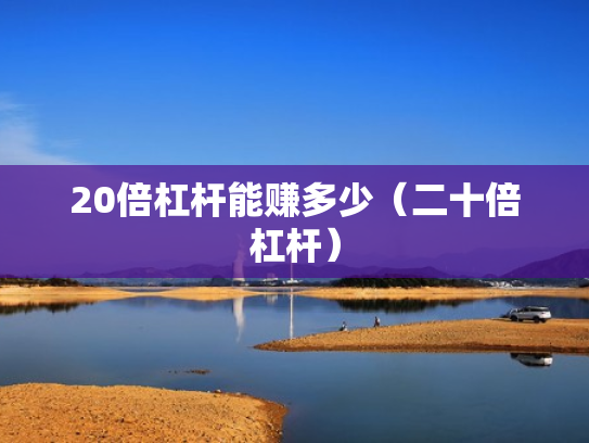 20倍杠杆能赚多少（二十倍杠杆）