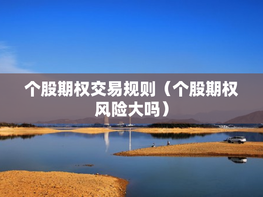 个股期权交易规则（个股期权风险大吗）