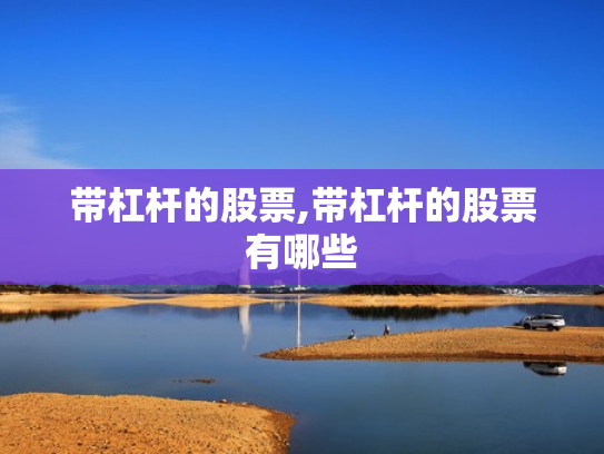 带杠杆的股票,带杠杆的股票有哪些