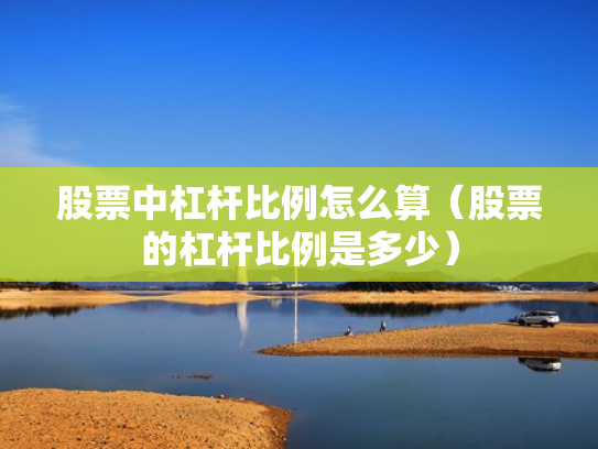 股票中杠杆比例怎么算（股票的杠杆比例是多少）