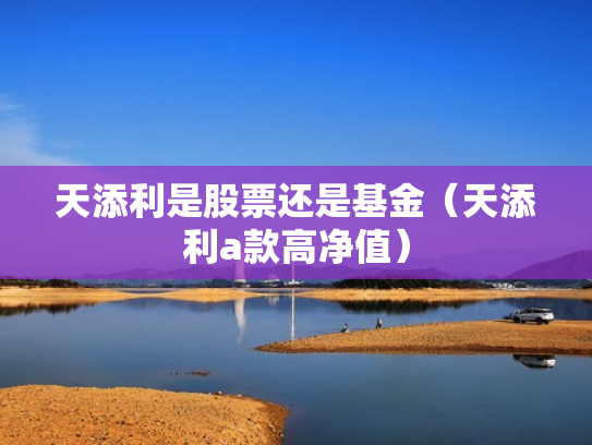 天添利是股票还是基金（天添利a款高净值）