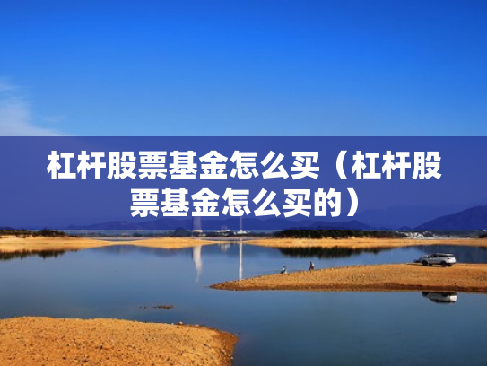 杠杆股票基金怎么买（杠杆股票基金怎么买的）