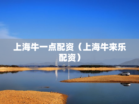 上海牛一点配资（上海牛来乐配资）