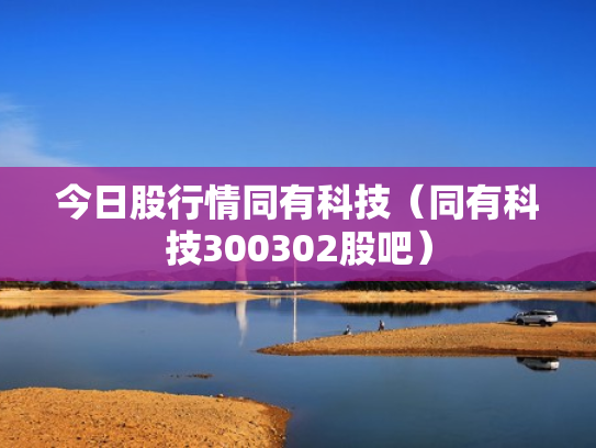 今日股行情同有科技（同有科技300302股吧）