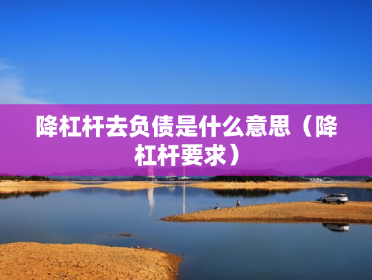 降杠杆去负债是什么意思（降杠杆要求）