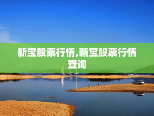 新宝股票行情,新宝股票行情查询