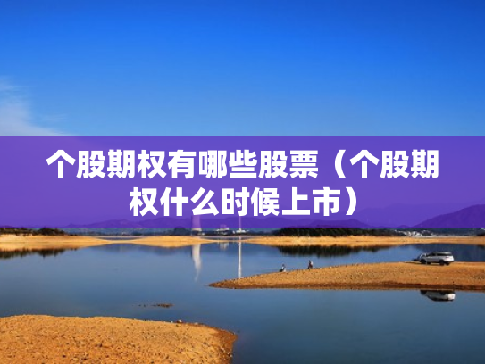个股期权有哪些股票（个股期权什么时候上市）