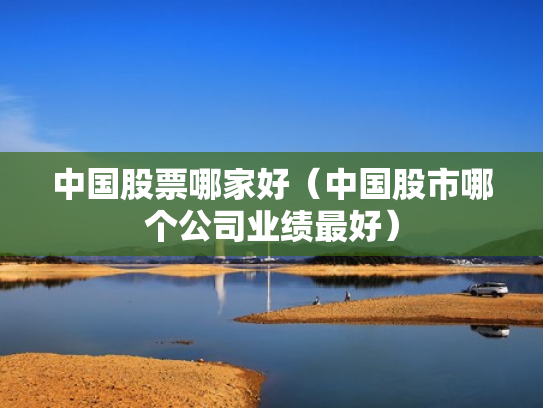 中国股票哪家好（中国股市哪个公司业绩最好）