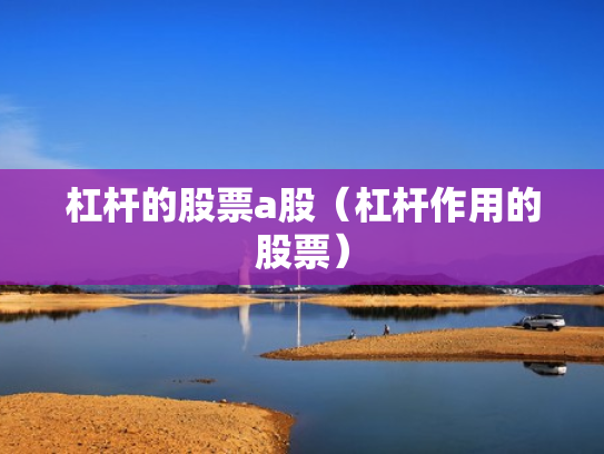 杠杆的股票a股（杠杆作用的股票）
