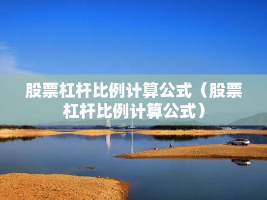 股票杠杆比例计算公式（股票杠杆比例计算公式）