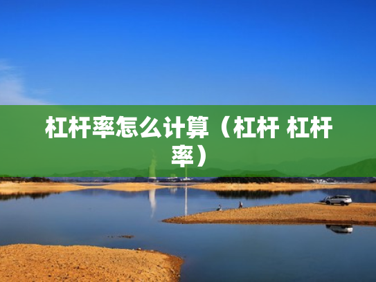 杠杆率怎么计算（杠杆 杠杆率）