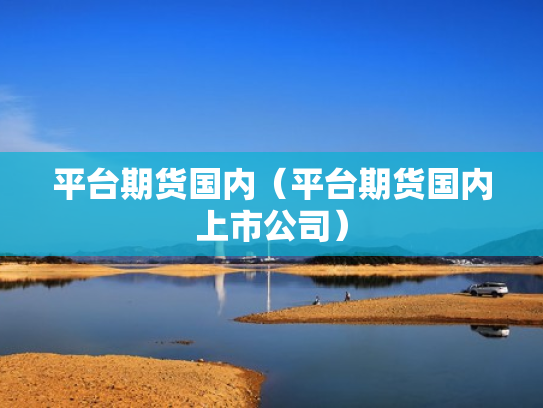 平台期货国内（平台期货国内上市公司）