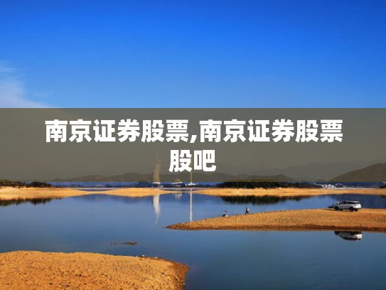 南京证券股票,南京证券股票股吧