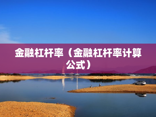 金融杠杆率（金融杠杆率计算公式）