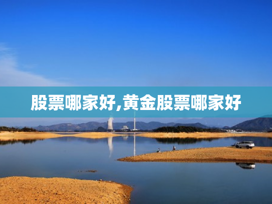 股票哪家好,黄金股票哪家好