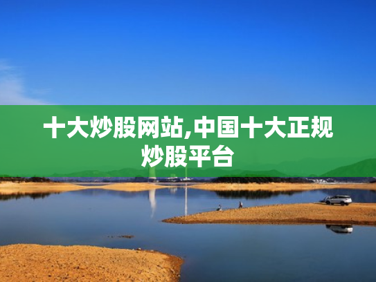 十大炒股网站,中国十大正规炒股平台
